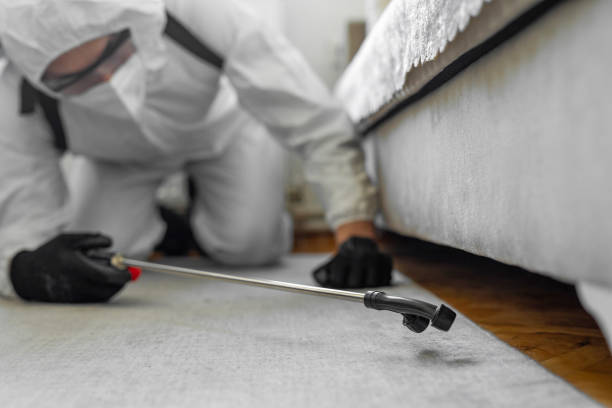 Professional Bed Bug Control technician working in LaBelle, FL